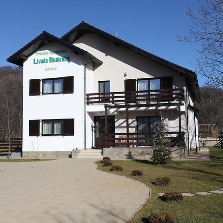 Pensiunea Livada Bunicului Stanesti  外观 照片