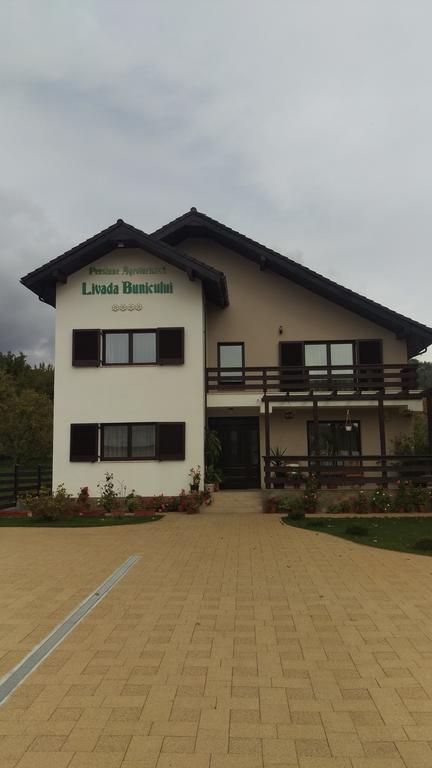 Pensiunea Livada Bunicului Stanesti  外观 照片